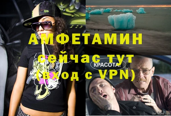 гашик Осинники