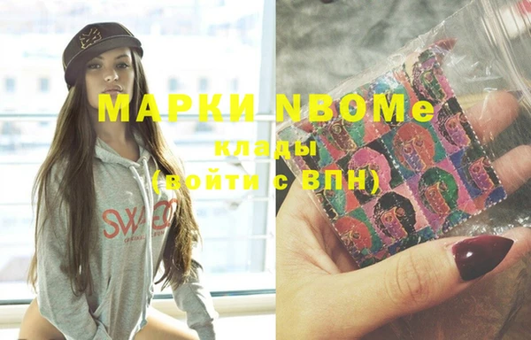 гашик Осинники