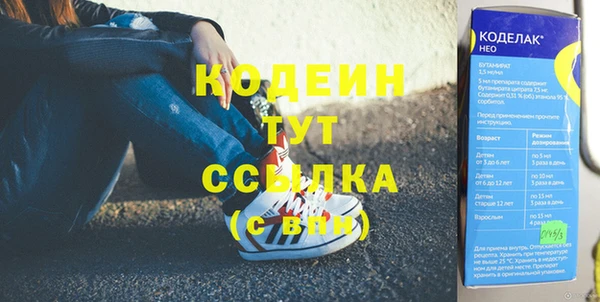 гашик Осинники