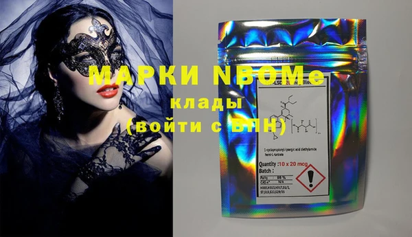 гашик Осинники