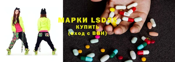 гашик Осинники